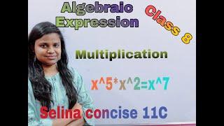 Algebraic Expressions  ICSE  Class 8  Selina Concise  Multiplication  11 C  Full Solution.