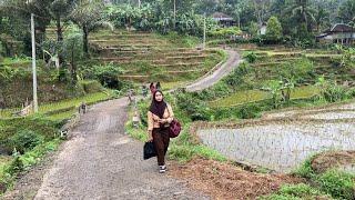 Ini Yang Akan Dilihat Saat Pagi Hari Di Desa Bikin Betah. Suasana Pedesaan Jawa Barat Garut Selatan