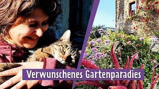 Wie perfekt muss ein Garten sein? Kleiner wilder Garten in Saalfeld  MDR Garten