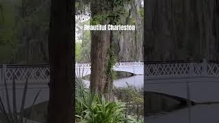 Beautiful Charleston #travel #travelvlog #roadtrip #vacation #carolina