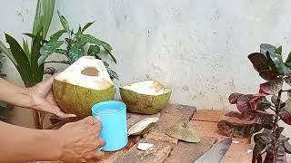 Sliced Coconut Peeling Styles part 74 #coconutcuttingskills #cuttingskills