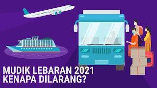 INFOGRAFIS Mudik Lebaran 2021 Kenapa Dilarang? Ini Kata Pemerintah