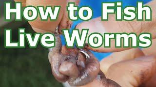 How to Fish with Live Worms Setup - Hooking Tips - Lakes Rivers Creeks Ponds