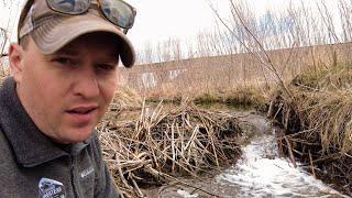 Beaver Dams Are A Problem On The Farm