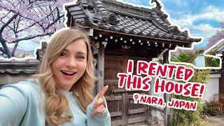 Day in my Life in Nara Japan  Renting a House + BEST Sakura Spot