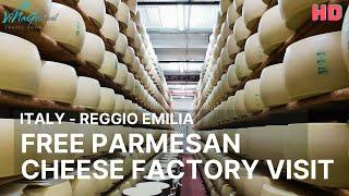 Italy - Free Parmesan Cheese Factory Guided Tour in Reggio Emilia