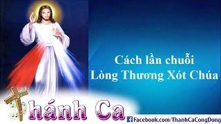How To Pray The Chaplet Of The Divine Mercy Vietnameses - Joseph Tran Dinh Long