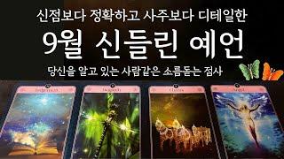 타로운세 소름주의9월 당신을 위해 반드시 알아야 할 9월 이야기