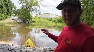 Future Jobs and Final Pond Inspection