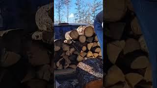 Buckin Special vs elm firewood