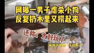 网曝一男子多次虐杀小狗，反复扔水里又捞起来：太好玩了_哔哩哔哩 ゜-゜つロ 干杯-bilibili