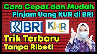 CARA ACC PINJAMAN KUR BRIBISA UNTUK MODAL JUALAN ONLINE  CARA MENGAJUKAN PINJAM DANA KUR BRI 2023