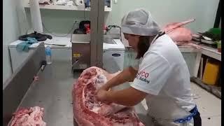 Primal cut of pork half carcass