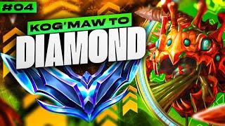 KogMaw Unranked to Diamond #4 - KogMaw ADC Gameplay Guide  How to Play KogMaw in Low Elo