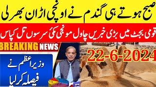 Now wheat Rate todaywheat price today in Pakistanwheat price today in punjab2024 Makki ka rate