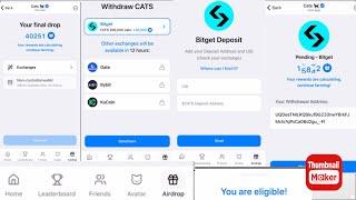 Cats telegram Airdrop update  Cats exchange connect Bitget exchange connect to cats Cats withdraw