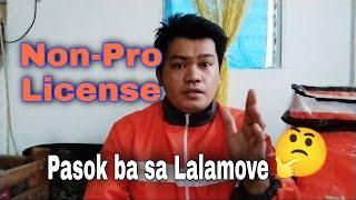 Pasok ba Non-Pro sa lalamove? Non pro License