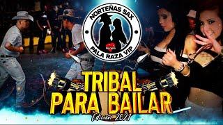 Tribal Para Bailar Edicion 2021 - Pala Raza Vip