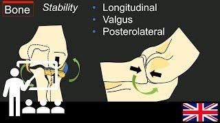 Trailer Lectures Understanding elbow instability.