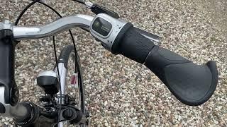 Pegasus 53 см Shimano Nexus 8