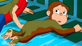 Coco der Neugierige Affe Deutsch  Volle Fahrt voraus Ganze Folgen Cartoons für Kinder  WildBrain
