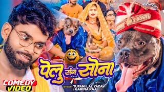 #Funny #Video - पेलू संग सोना - #Tufani Lal Yadav & #Garima Raj - #New Comedy Video 2024