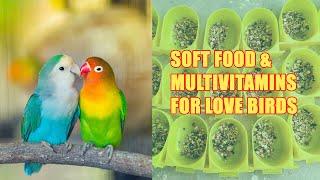 Nutrient-Rich Soft Food Recipes for Your Love Birds  AR Fancy Birds #lovebird #parrot #birds #pets