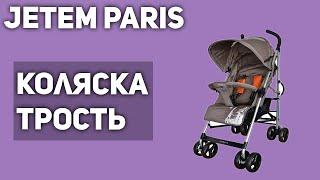 Прогулочная коляска Jetem Paris трость