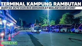 KELILING TERMINAL KAMPUNG RAMBUTAN Liat-liat Bus Siap Berangkat 12  MAULS TRIP