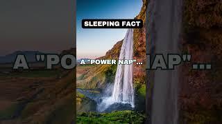 #sleepingfacts #youtubeshorts #whitenoise