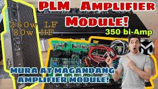 PLM ACTIVE MODULES  REVIEW 350 BI-AMP 350W
