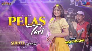 SHINTA ARSINTA ft NEW PALLAPA  PELAS TERI  LIVE CONCERT WAHANA MUSIK