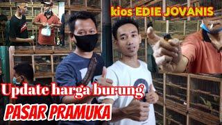 Update Terbaru Harga Burung Pasar Pramuka kios EDY JOVANIS