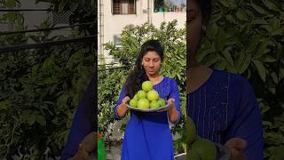 Fresh Fruits Harvest In My Garden   SOS Minivlog #03 #nature #fruits