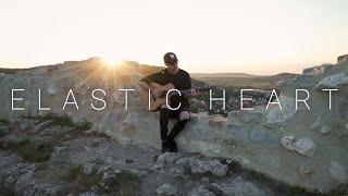 Sia - Elastic Heart Acoustic Cover by Dave Winkler