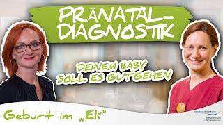 Was ist Pränataldiagnostik? Zu Besuch bei Frau Dr. Polievka