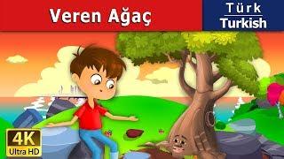 Veren Ağaç  The Giving Tree in Turkish   Turkish Fairy Tales