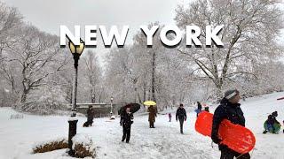 New York Winter Snow Walk 4K Central Park During W​inter Storm Lorraine