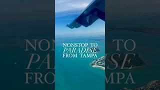 Nonstop to Paradise  Things To Do Tampa Bay