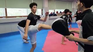 Korea Taekwondo Sparring Camp 2023 #cheungdokwan