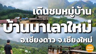 เดินชมที่พักโฮมสเตย์​ หมู่บ้าน​นาเลาใหม่ วิวดอยหลวง​เชียงดาว​ ปี 2023 อ.เชียงดาว​ จังหวัด​เชียงใหม่​