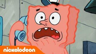 سبونج بوب  سبونج بوب يُطرد من مقرمشات سلطع  Nickelodeon Arabia