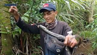 MANCING SIDAT WA ADOY STRIKE SIDAT BABON 