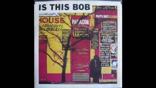 IS THIS BOB - Earth Day Plumb Records 1991