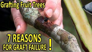 7 COMMON GRAFTING MISTAKES and HOW to AVOID THEM  Grafting Techniques TIPS