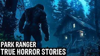 TRUE Terrifying Park Ranger Horror Stories DogmanSasquatch WendigoWerewolfBigfootCreepy