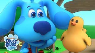 Cute Chicken Song  in Arabic + English  Nursery Rhymes & Kids Songs  Blue’s Clues & You