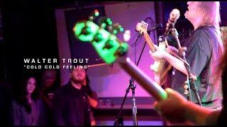 WALTER TROUT - Cold Cold Feeling - Down and Dirty Blues - Moes Alley 51918