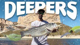 Jornada de Viento y Basses Profundos Pesca a Power-Fishing. #50