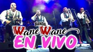 Banda Wane Wane 2019 - Concierto Completo En Vivo Exitos Mix